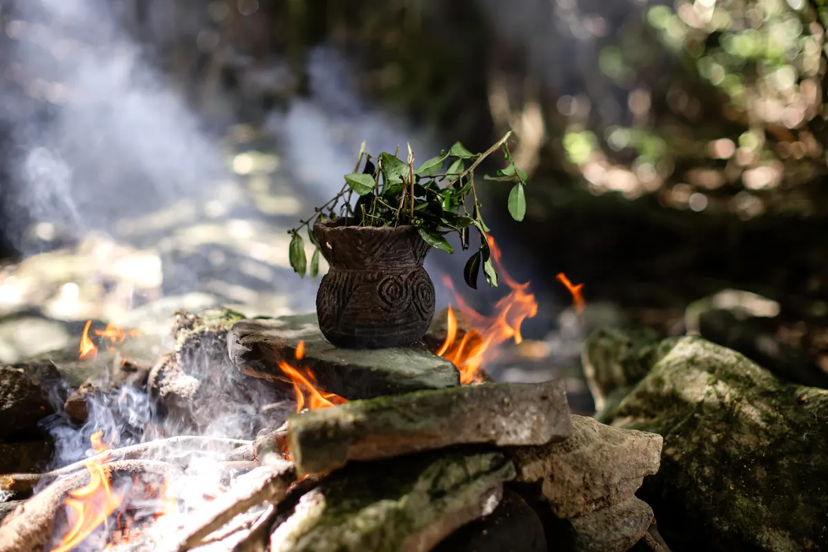 焚き火の上で炙られる山の茶葉