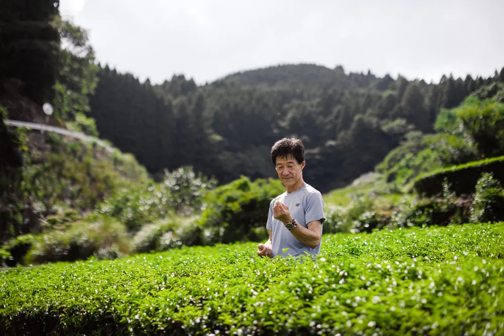 茶畑に立つ梶原敏弘