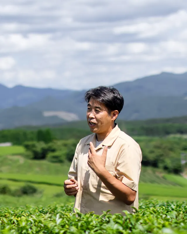 茶畑に立つ天野浩