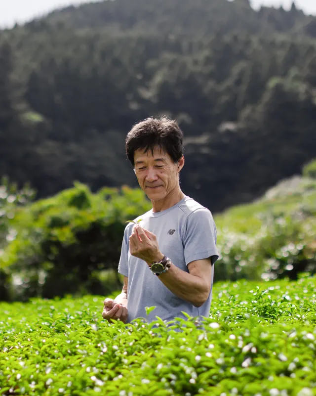 茶畑に立つ梶原敏弘